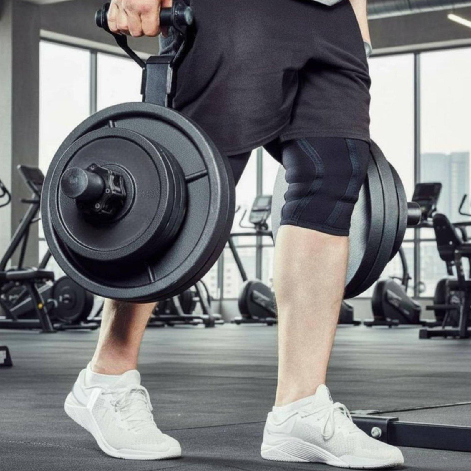 Multi-size Barbell Plate Holde - Home Gym Gym Equipment review and price